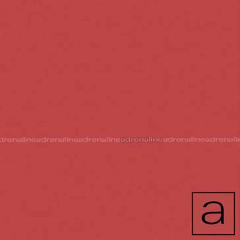 Adrenaline Mob – ADRENALINE Music Cassette