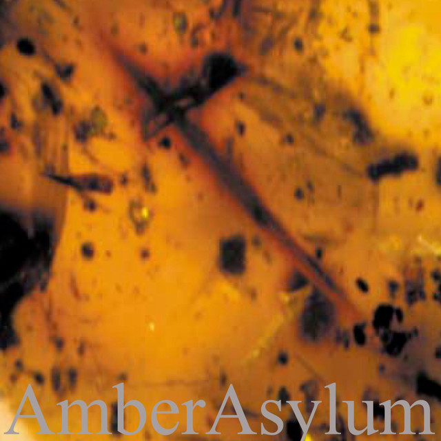 Amber Asylum Cds