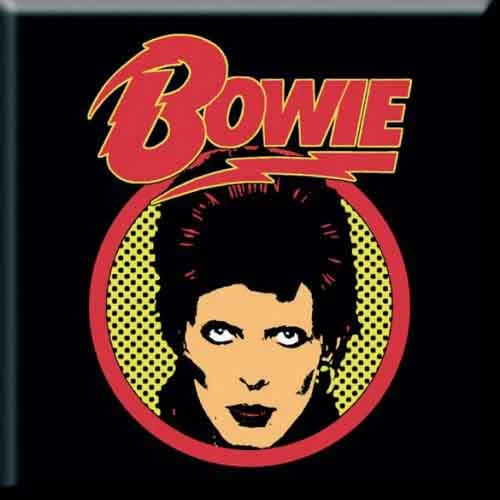David Bowie Flash Logo Fridge Magnet