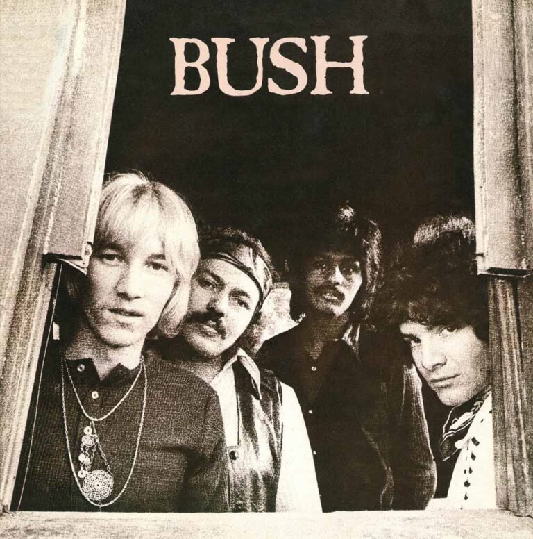 Bush – BUSH CD