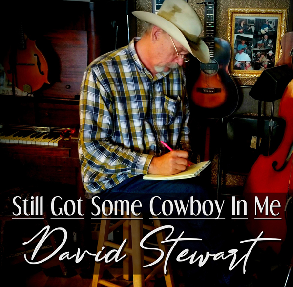 Dave Stewart – STILL GOT SOME COWBOY IN ME CD