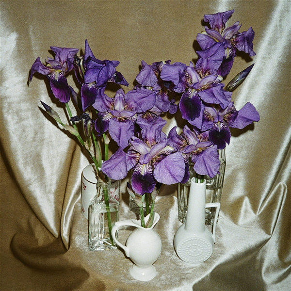 Dives – WANNA TAKE YOU THERE CD