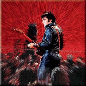 Elvis Presley Shine Fridge Magnet