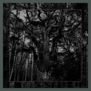Enisum - SEASONS OF DESOLATION Compact Disc Digi