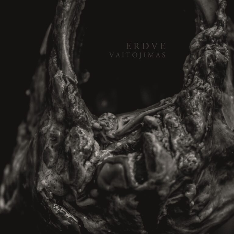 Erdve – VAITOJIMAS Compact Disc Digi