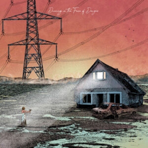 Exploring Birdsong - DANCING IN THE FACE OF DANGER Vinyl LP