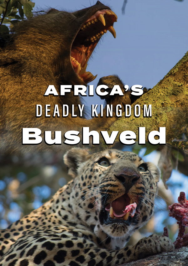 Feature Film – AFRICA’S DEADLY KINGDOM: BUSHVELD DVD