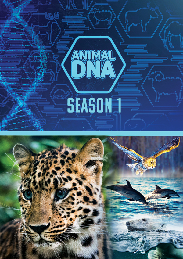 Feature Film – ANIMAL DNA: SEASON ONE DVD