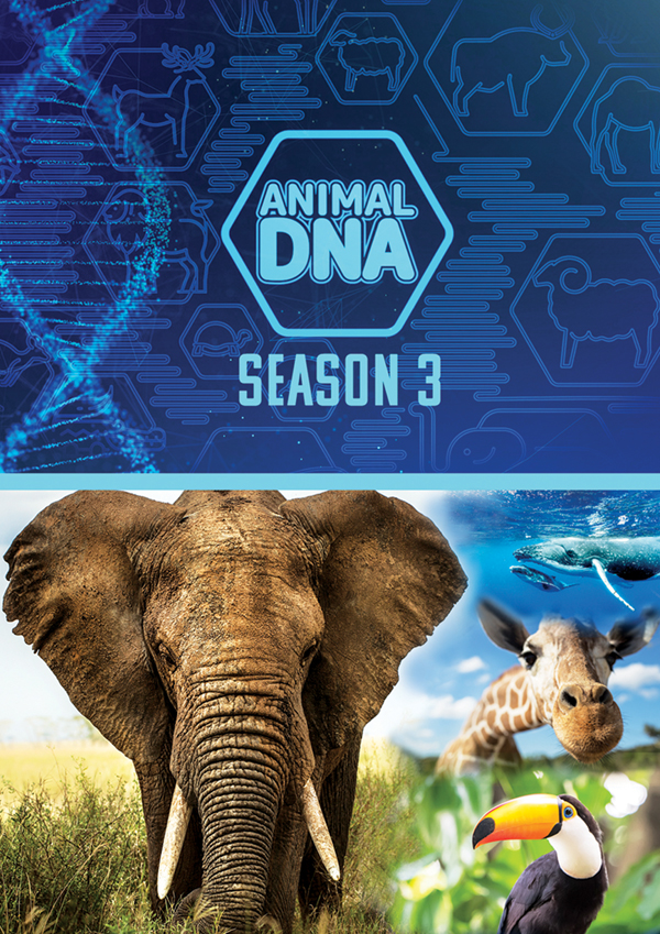 Feature Film – ANIMAL DNA: SEASON THREE DVD