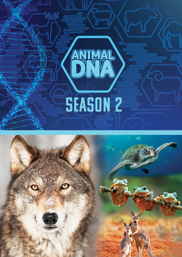 Feature Film – ANIMAL DNA: SEASON TWO DVD