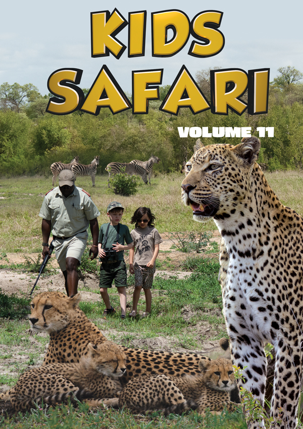 Feature Film – KIDS SAFARI: VOLUME ELEVEN DVD