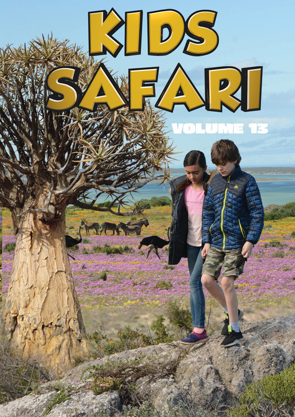 Feature Film – KIDS SAFARI: VOLUME THIRTEEN DVD