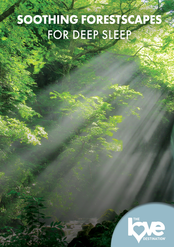 Feature Film – THE LOVE DESTINATION COURSES: SOOTHING FORESTSCAPES FOR DEEP SLEEP DVD