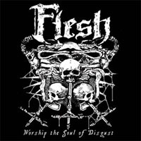 Flesh – WORSHIP THE SOUL OF DISGUST CD
