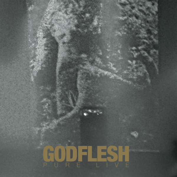 Godflesh – PURE: LIVE (GOLD W/ GOLD AND WHITE SPLATTER VINYL) Vinyl Double Album
