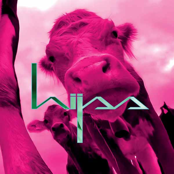 hijss – HIJSS Compact Disc Digi