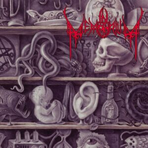 In Memorium - LOST TO ANTIQUITY CD