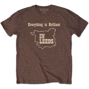 Kaiser Chiefs Everything Is Brilliant Chestnut Brown Back Print T-Shirt