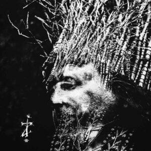 Negur? Bunget - TAU Compact Disc Digi