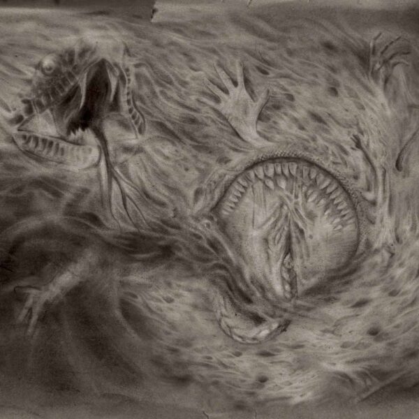 Nidsang - INTO THE WOMB OF DISSOLVING FLAMES CD