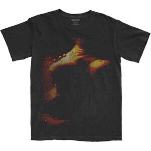 Paramore This Is Why Black Back Print T-Shirt