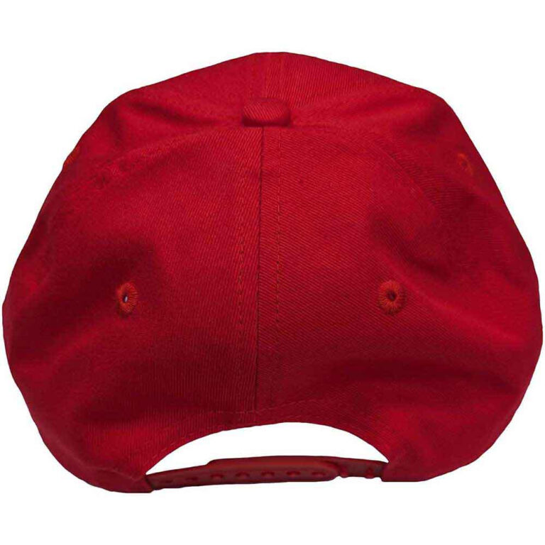 Paul McCartney Wings Logo Baseball Cap