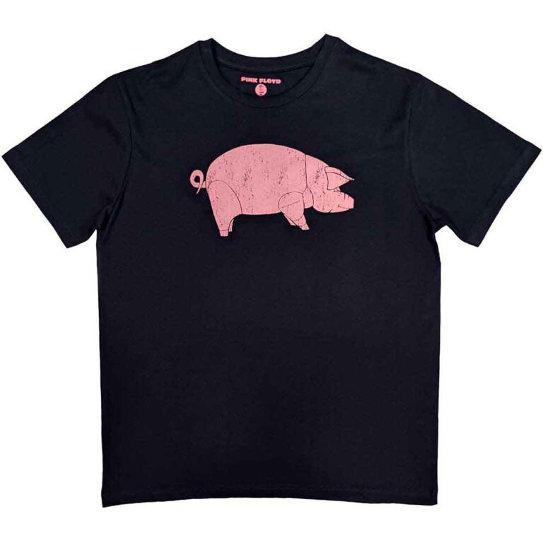 Pink Floyd AWBDG Navy Blue Back Print T-Shirt