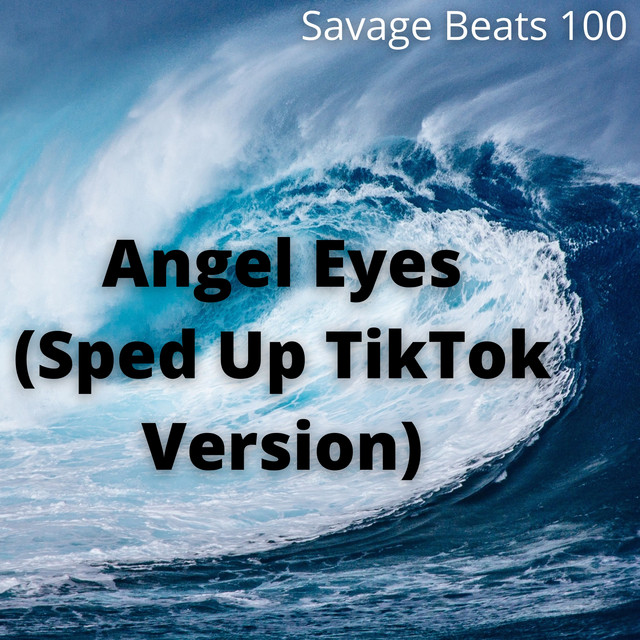 Savage Beat band photo