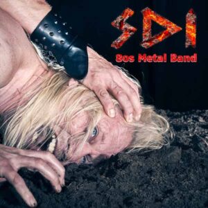 SDIB - 80S METAL BAND CD
