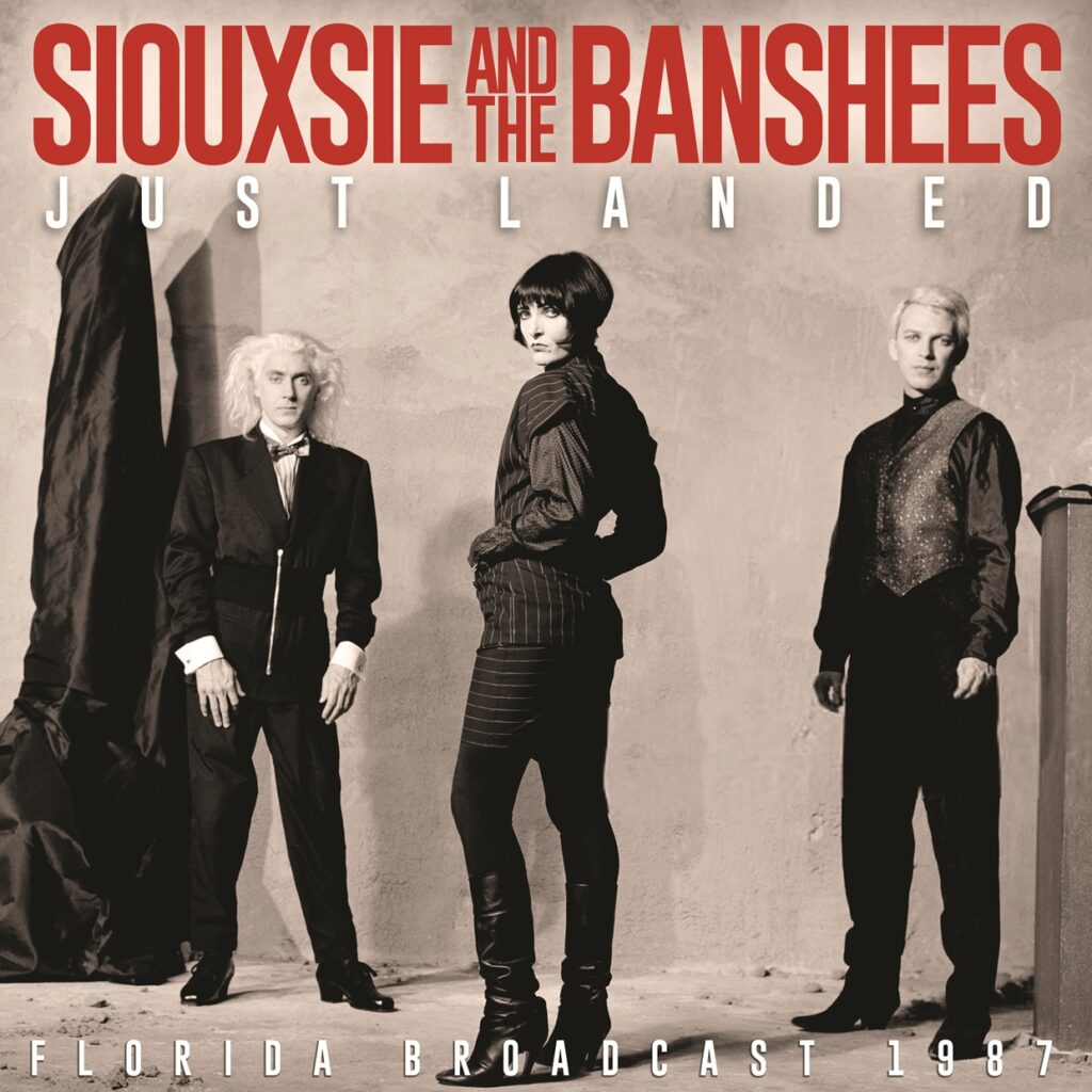 Siouxsie and the Banshees - JUST LANDED CD