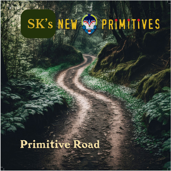 SK’S NEW PRIMITIVES – PRIMITIVE ROAD CD