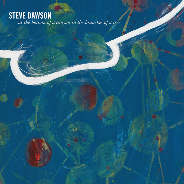 Steve Dawson – AT THE BOTTOM OF A CANYON IN THE BRANCHES OF A TREE Vinyl LP