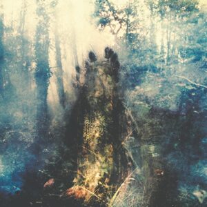 Sylvaine - WISTFUL Compact Disc Digi