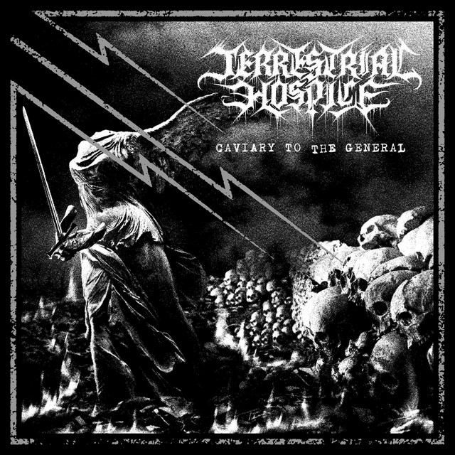 Terrestrial Hospice band photo