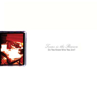 Texas Is The Reason - DO YOU KNOW WHO YOU ARE? THE COMPLETE COLLECTION Vinyl Double Album
