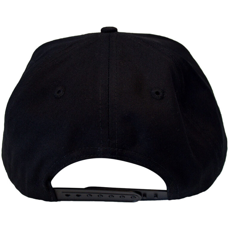 The Beastie Boys Check Your Head Logo Black Snapback Cap