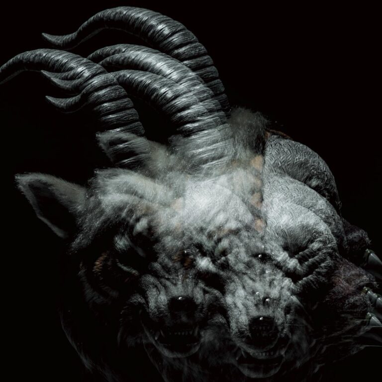 the GazettE – BEAUTIFUL DEFORMITY CD