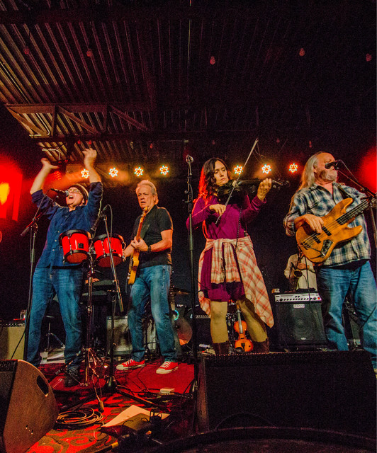 The Ozark Mountain Daredevils band photo