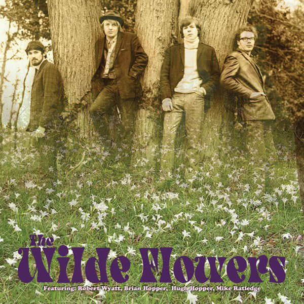 The Wilde Flowers – THE WILDE FLOWERS (CLEAR YELLOW VINYL) Vinyl LP