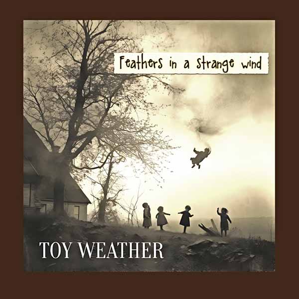 TOY WEATHER – FEATHERS IN A STRANGE WIND CD