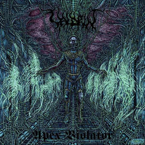 Valdrin – APEX VIOLATOR CD