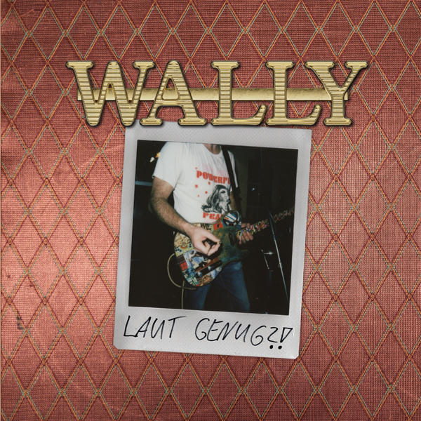 WALLY – LAUT GENUG?! (SILVER W/ GOLD-BRONZE MARBLE VINYL) Vinyl LP