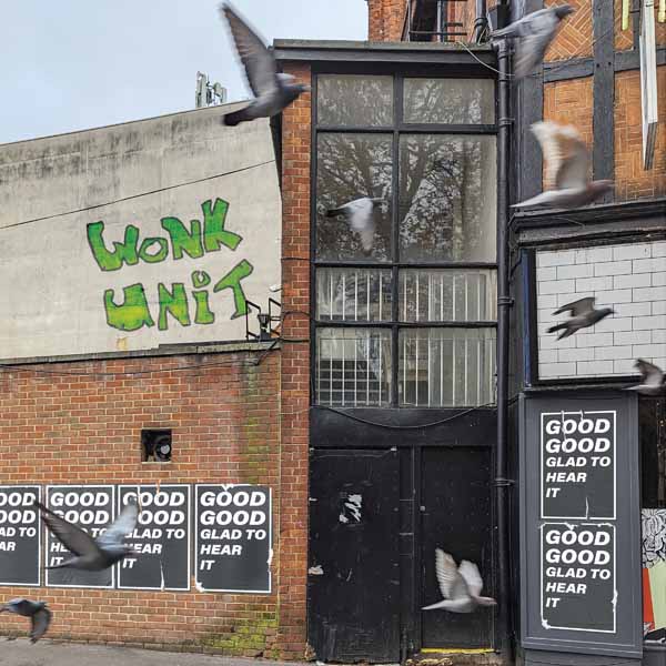 Wonk Unit – GOOD GOOD GLAD TO HEAR IT Vinyl LP